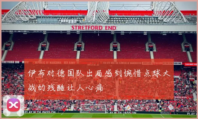 伊布对德国队出局感到惋惜点球大战的残酷让人心痛