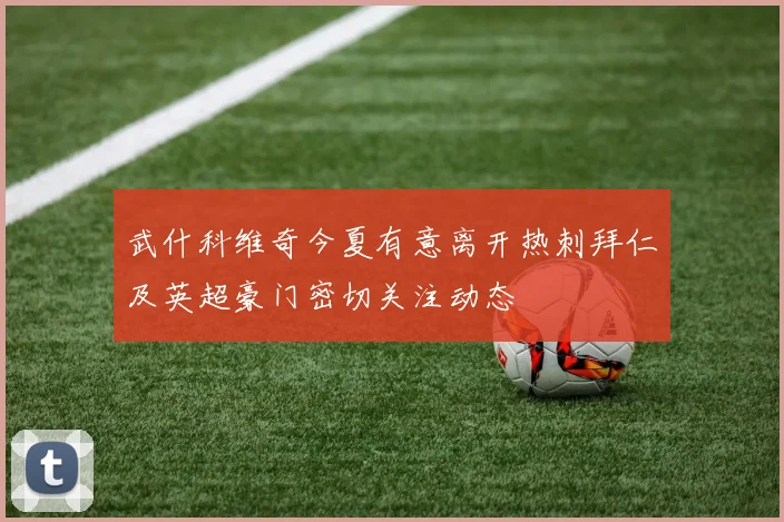 武什科维奇今夏有意离开热刺拜仁及英超豪门密切关注动态