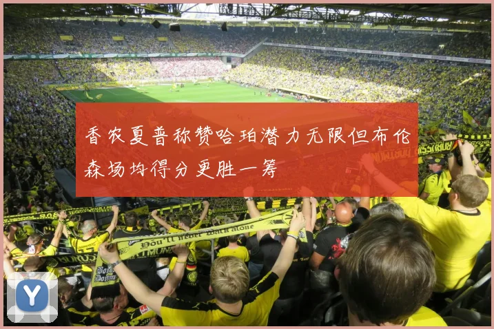 香农夏普称赞哈珀潜力无限但布伦森场均得分更胜一筹