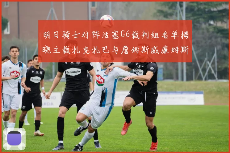 明日骑士对阵活塞G6裁判组名单揭晓主裁扎克扎巴与詹姆斯威廉姆斯在列