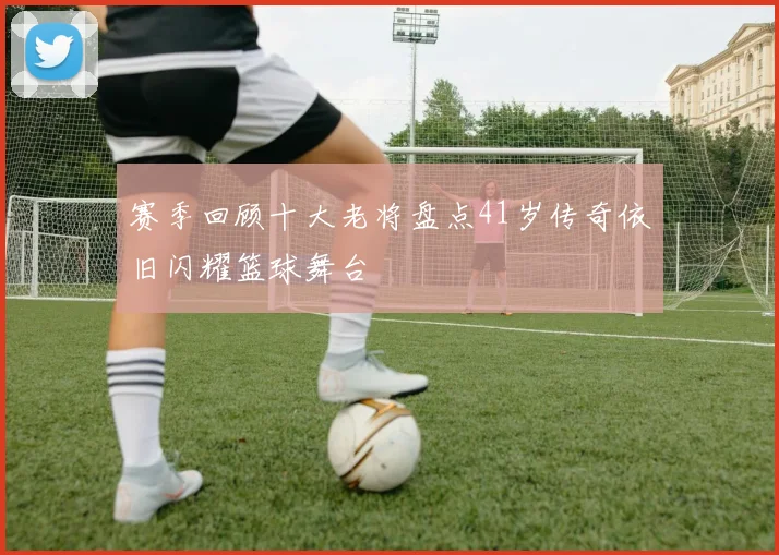 赛季回顾十大老将盘点41岁传奇依旧闪耀篮球舞台